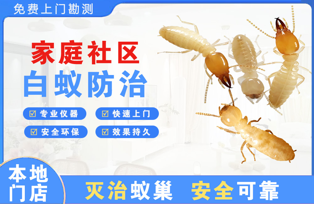盱眙家庭社区白蚁防治