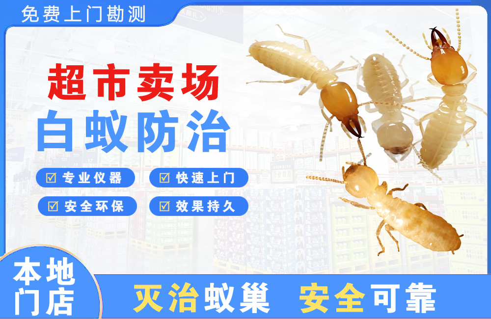 盱眙超市卖场白蚁防治