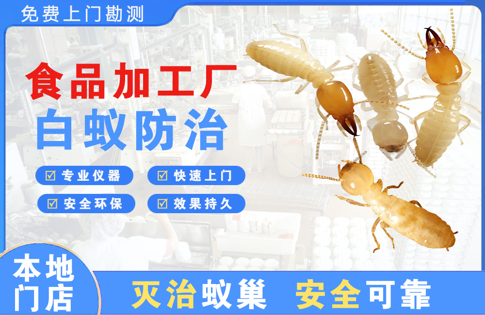 盱眙食品加工厂白蚁防治