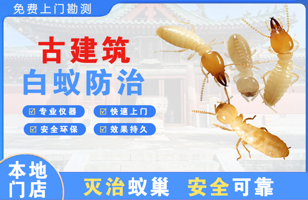 盱眙古建筑白蚁防治