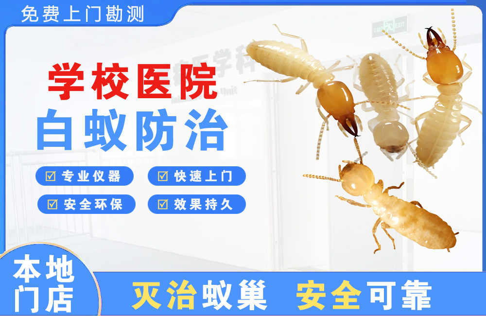 盱眙学校医院白蚁防治