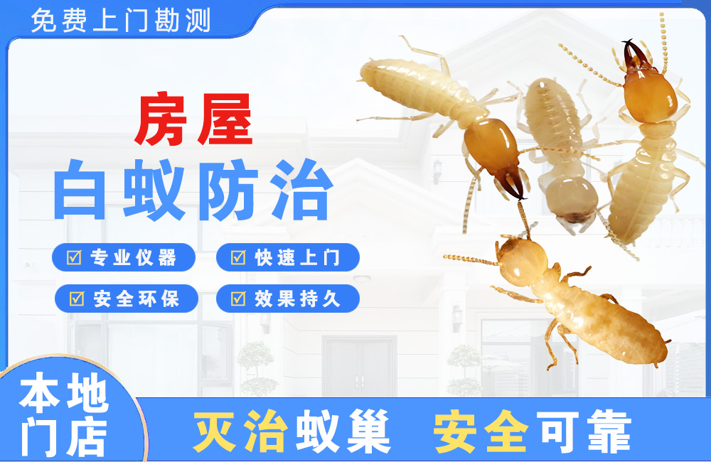 盱眙房屋白蚁防治