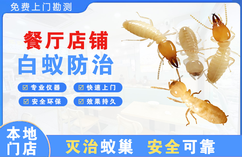 盱眙餐厅店铺白蚁防治